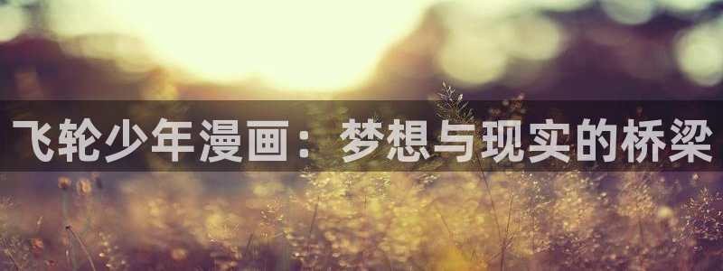 91漫画网站永久入口