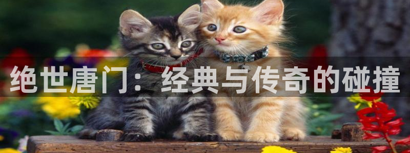 91漫画在线观看