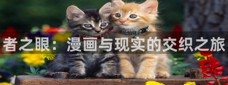 91漫画禁漫天堂
