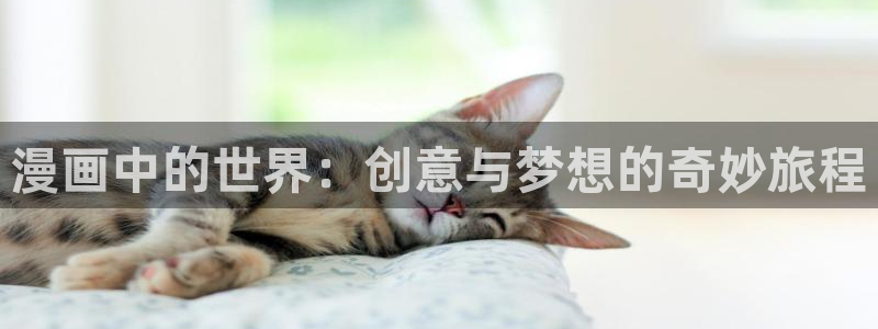 91漫画下载安装