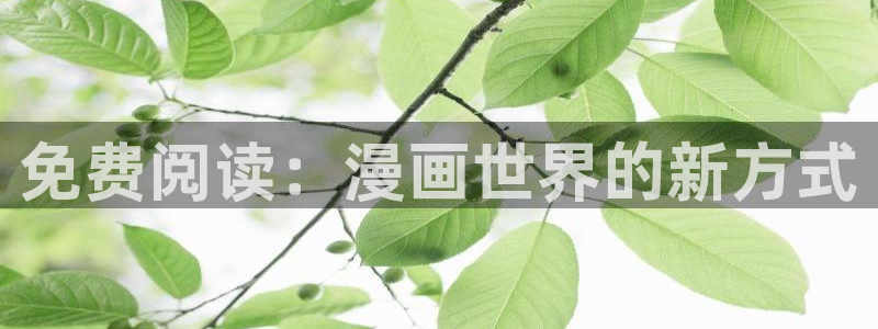 91漫画黄